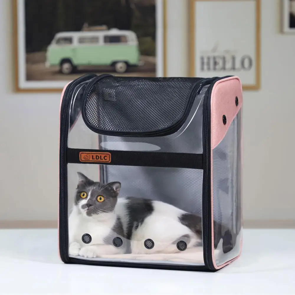 transparent cat bag