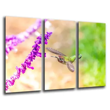 

Nature Colibri, Flower Macro, photo print on wood, modern picture decorative 26226