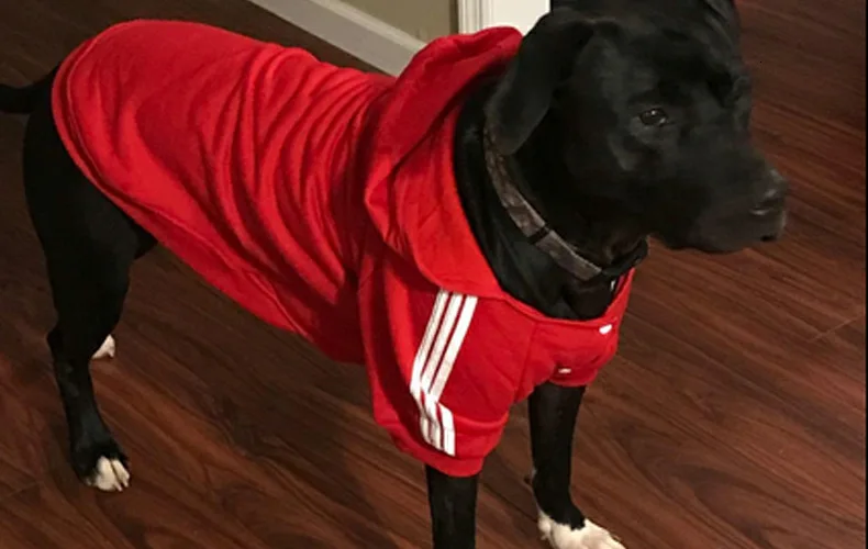 Одежда для домашних животных; Одежда для собак с золотыми волосами; Одежда для собак Gou Weiyi; спортивная одежда из чистого хлопка