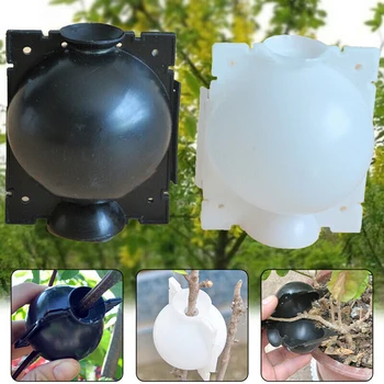 

1/2/3/5 Plant Rooting Box Useful Plant Rooting Box Reusable Plant Rooting Device Rhizome Controller