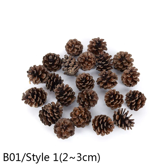 1-10pcs Natural Pine Nuts Fruit Dried Artificial Flower Pineapple Cones for Christmas DIY Garland Wreath Wedding Home Decoration B01-10pcs