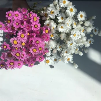 

1 Bouquet Natural Dried Flower DIY Home Wedding Party Decoration Hand Crafts Art Flower Arrangement Supplies Photo Props