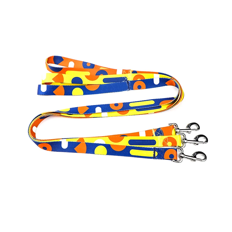 colorful dog leashes