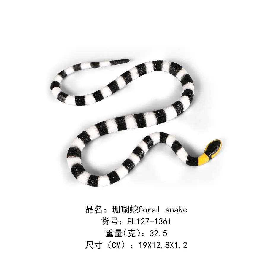 珊瑚蛇Coral snake-1361