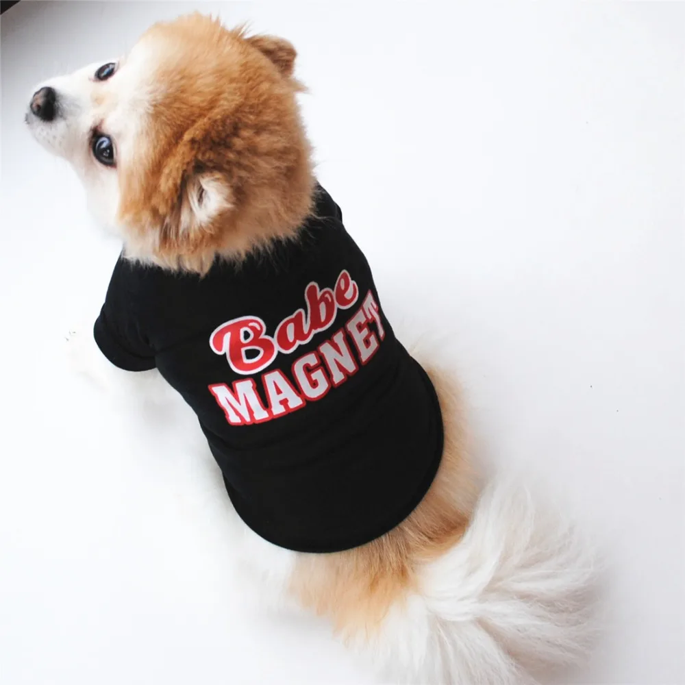 9075615760_361259826