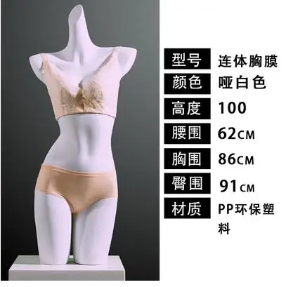 100cm Conjoined Chest Model Sexy Female Mannequin Dummy Underwear Cloth  Shop Model Props Bust Bra Window Display Rack 1pc C697 - Mannequins -  AliExpress
