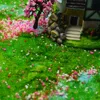 3MM Static Grass Powder Turf Flocking Nylon Materials Diy Building Sand Table Model Scene Layout Diorama Kits 30G/60G 4