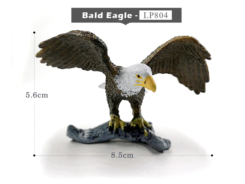 详情页-5款-白鹤-雕鸮-白头鹰-鹦鹉_07