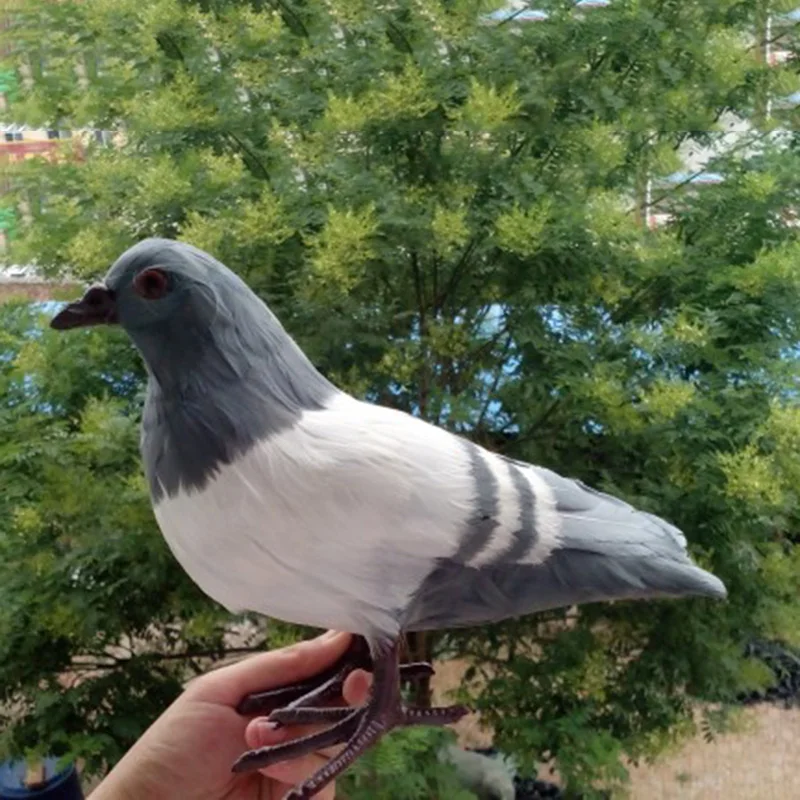

1:1Simulation Lifelike Plush Pigeon Model Figurine Decor Kids Science Nature Toy