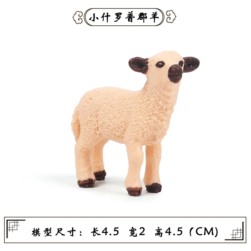 10803890071_1464955482