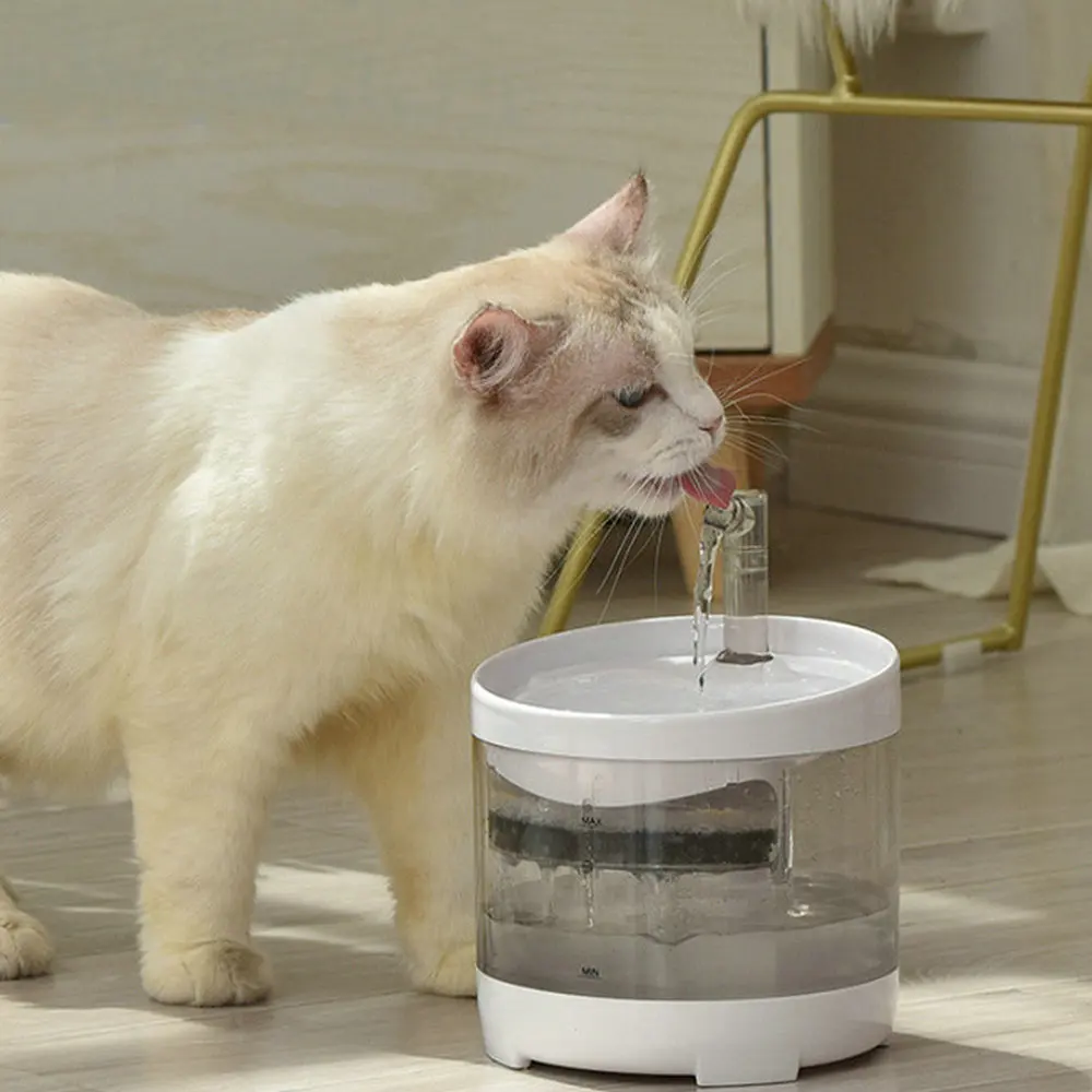 Smart Sensor Cat Water Fountain Super Quiet Automatic Circulating Water Dispenser Transparent Design Pet Dog Drinking Feeder