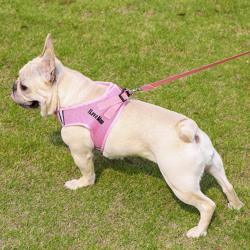 15197952042_1490864554