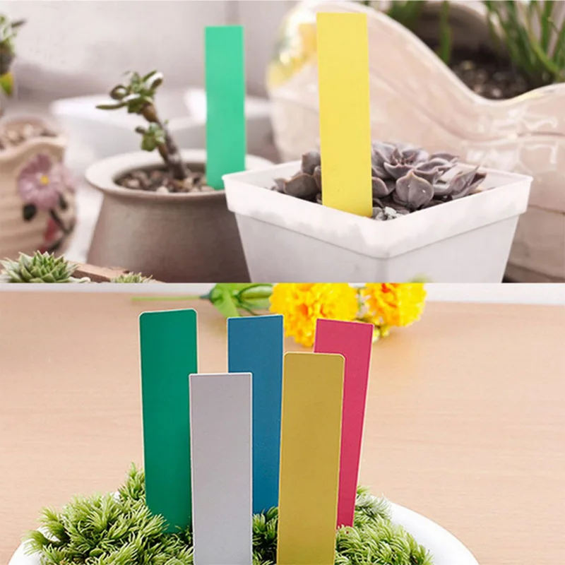 100pcs 10x2cm Garden Plant Labels PVC Plant Tags Nursery Markers Flower Pots Seedling Labels Tray Mark Tools Pot Waterproof