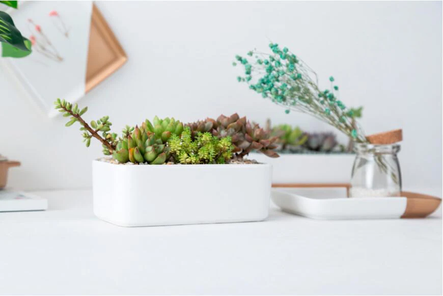 QQ截图20190814103449