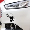Exterior Accessories