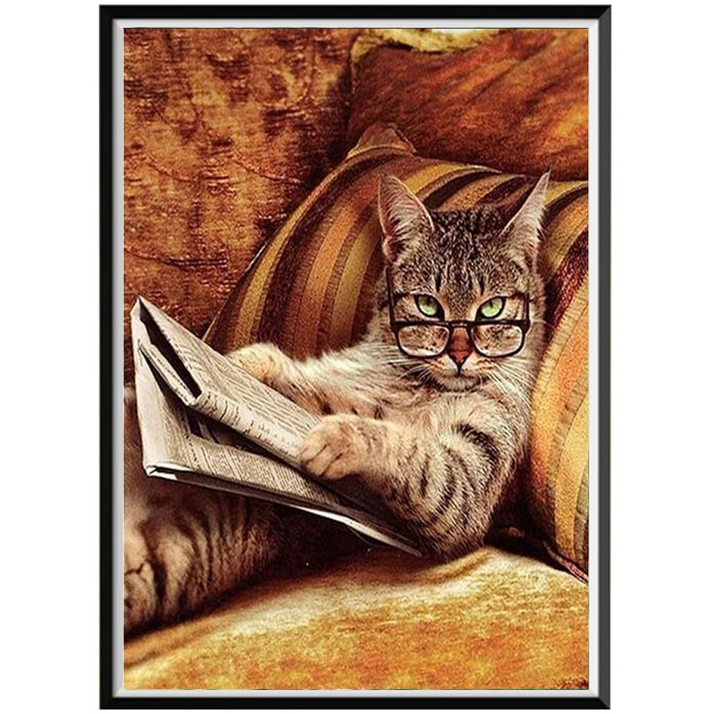 Кот читает газету картинки