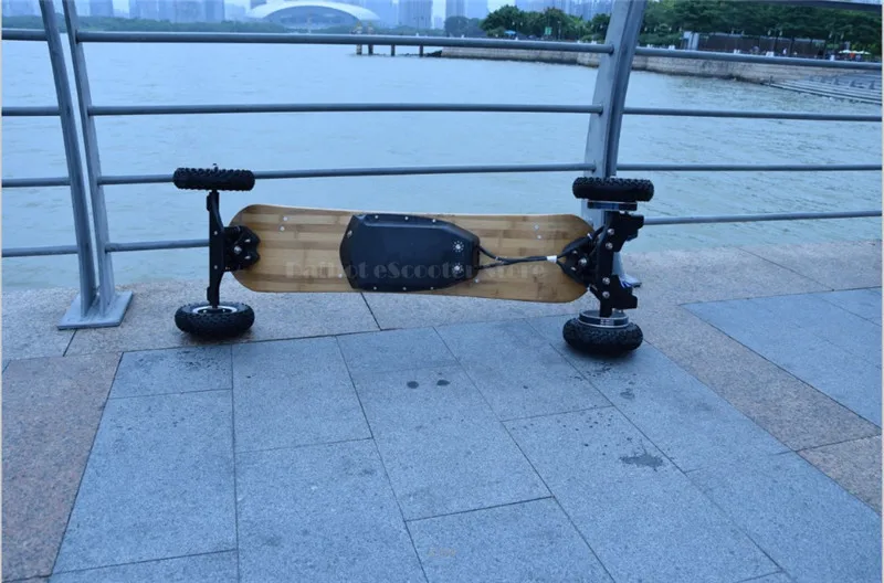 Daibot Off Road Electric Skateboard 4 Wheel Electric Scooter Powerful 1650W2 36V Hub Motor Adult Longboard Electric Skateboard  (10)