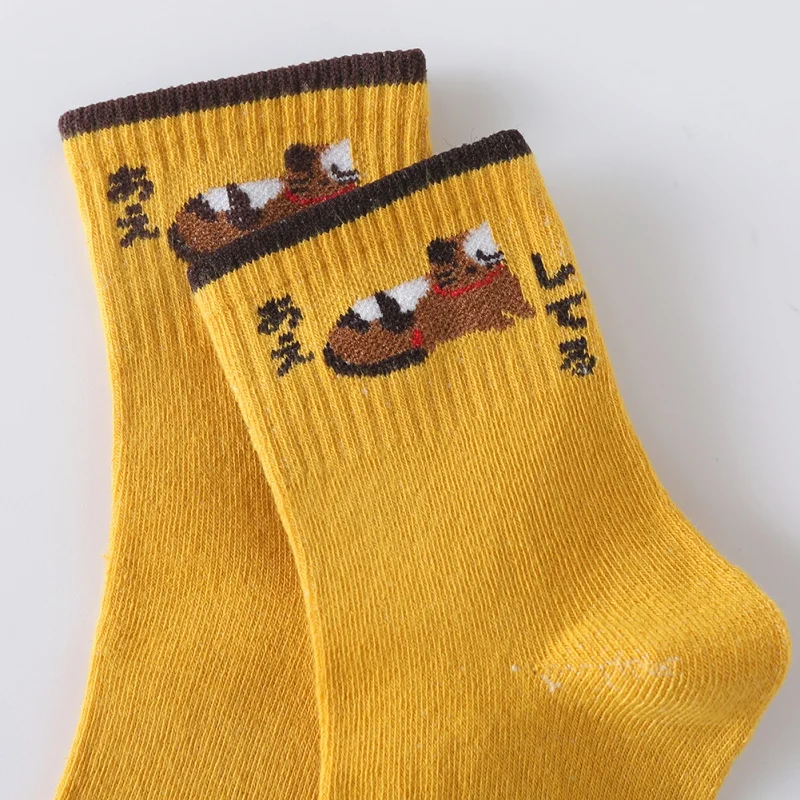 Женские носки, модные новые 5 пар в упаковке, осенне-зимние хлопковые впитывающие пот носки без пятки, японские кавайные Теплые Носки с рисунком кота