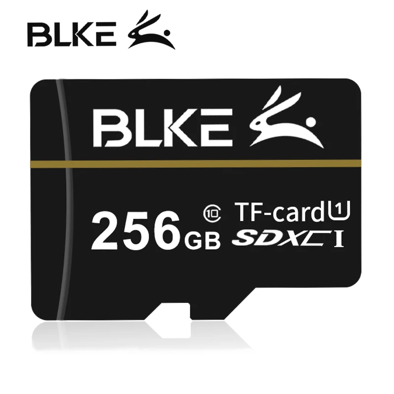 BLKE Micro sd карта 256 ГБ 128 Гб 64 ГБ 32 ГБ 16 ГБ 8 ГБ карта памяти класс 10 U1 TF флэш-карта памяти для мобильного телефона рекордер вождения - Емкость: 256G Class10