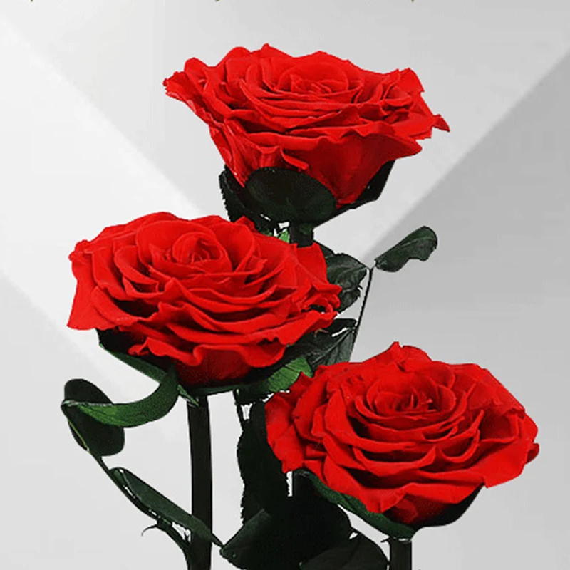 Топ!-вечные цветы, сушеные цветы, сохраненный свежий цветок, живая Роза, стеклянный купол, подарочная коробка