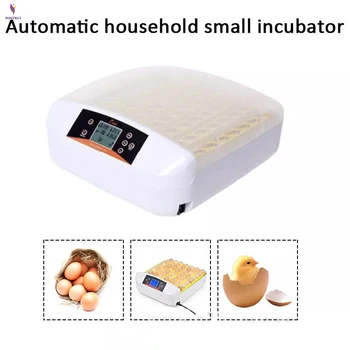 

Household small 56 constant temperature incubator Poultry hatchery equipment Automatic temperature control egg turning incubator