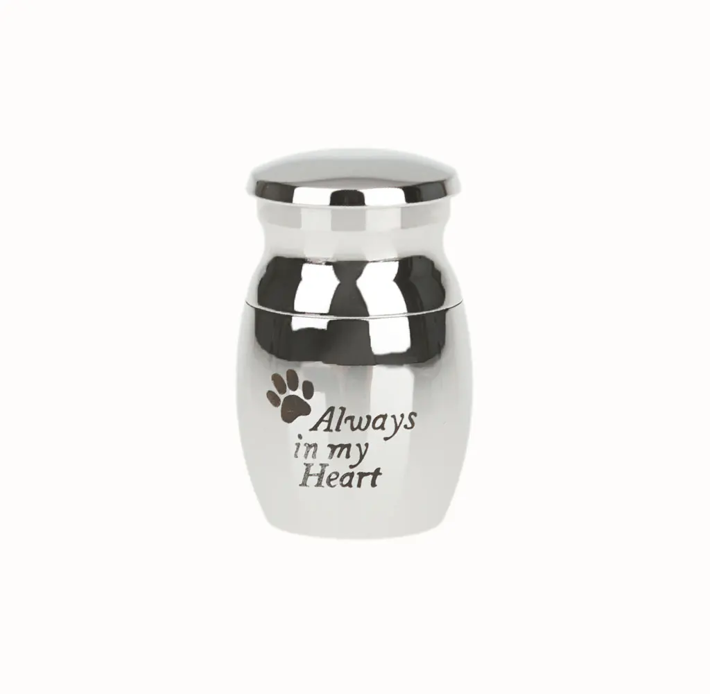 Pet Urn Keepsake Dog Cat Memorial Ashes Jar with Always in My Heart