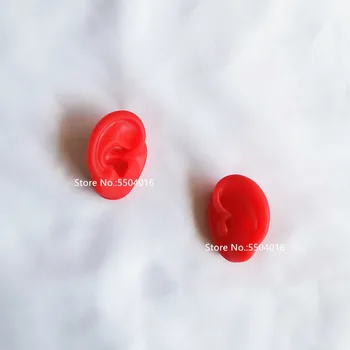 

Silicone Display Earrings Models Hearing Aid Display Silicone Ear Model for Hearing Aids IEMs Jewelry Exhibition Demonstration