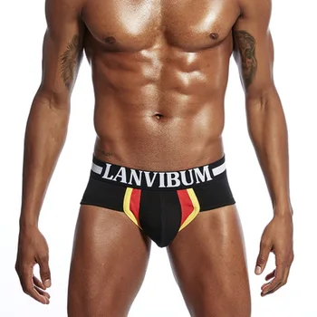 

LANVIBUM Men Underwear Mesh Qucik-Dry Sexy Men Briefs Breathable Mens Slip Cueca Male Panties Underpants Briefs LA607