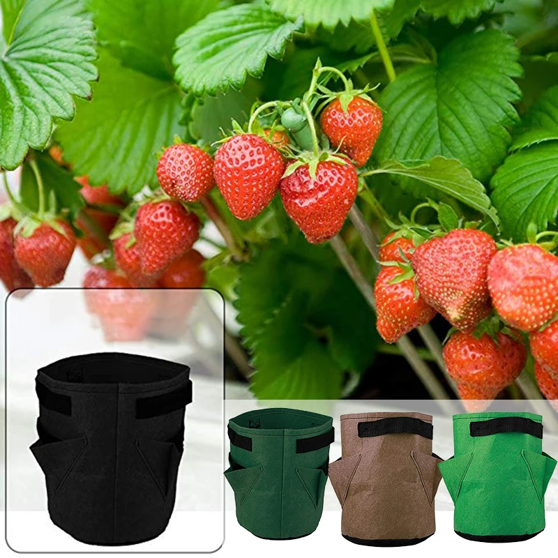 Садовая растительная сажалка для клубники, сумки для выращивания, сумка для посадки, 3 кармана