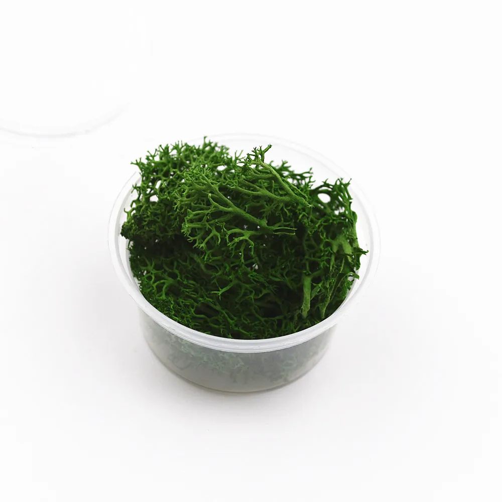 dark green 1 коробка 2-2,5 грамм серьги цвета мха из натурального агата microlandschaft наполнитель для стеклянного глобуса силиконовая форма DIY ювелирных изделий ремесло materia - Цвет: dark green