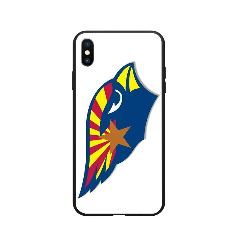 arizona6
