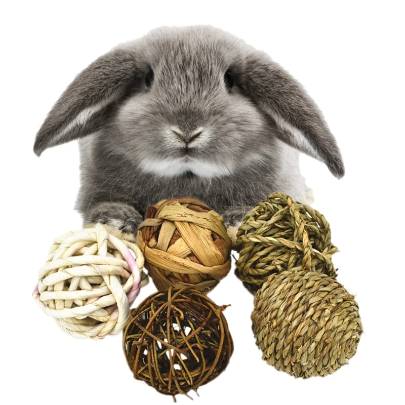 rabbit hay ball