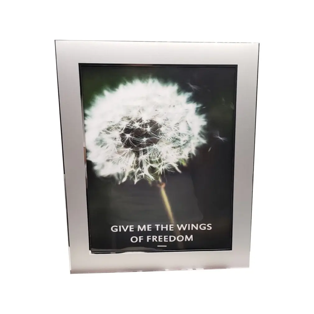Light Luxury Silver 6/7/8/10 Inch Aluminum Frame Photo Frame Fashion Elegant Photo Frame for Home or Exhibition - Цвет: 6inch