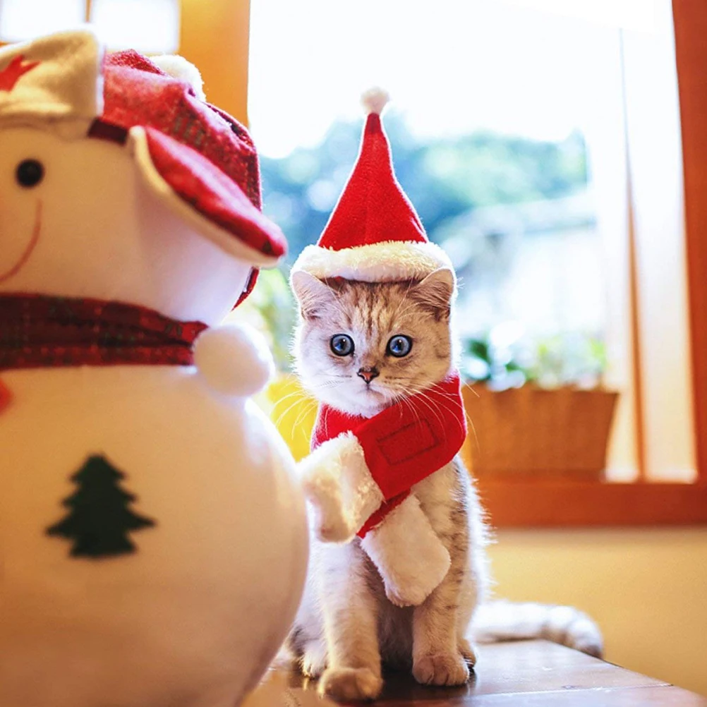 Шляпа для питомца кошки собаки красный шарф Рождественский праздничный костюм маленькие животные комплект одежды для украшения в виде домашних животных Рождественский подарок