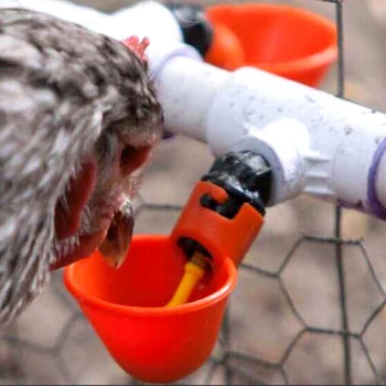 

Eco-Friendly House Type Drinking Bowl PP Plastic Pigeon Automatic Drinking Fountain Quail Hens Chicks Bird Water Bowl