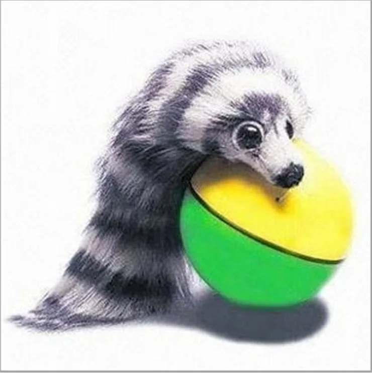 

Best Cat Toys Interactive Teaser Chase Moving Weasel Roll Ball Battery Operated