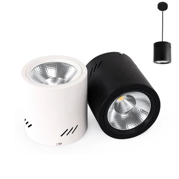

Surface Mounted Downlight COB 10W 15W 20W 30W 40W 85-265V lamp Led downlights Ceiling Spot light led Constant current driver