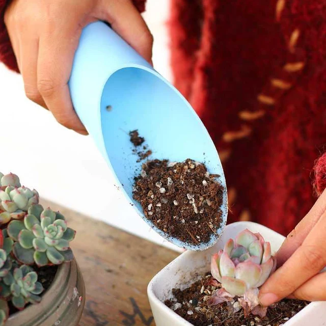 14Db Kertészeti Szerszámok Miniatűr Kert Bonsai Zamatos Átültetés Kézi Tartozék
