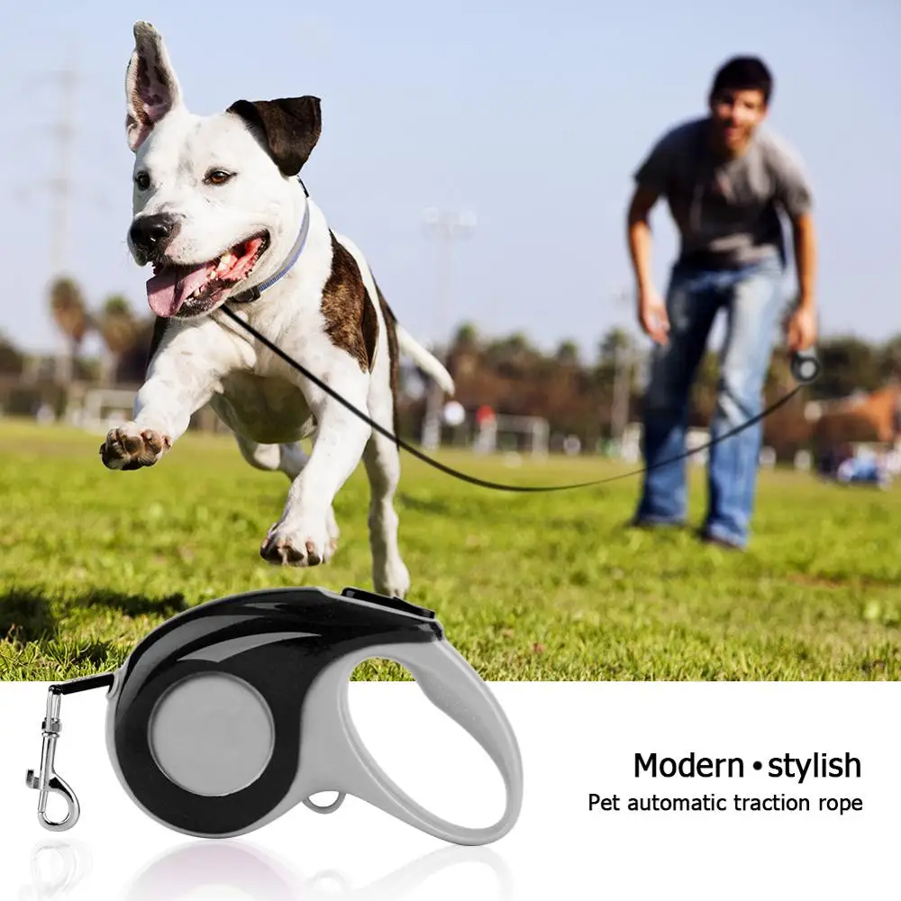 retractable dog lead large breed