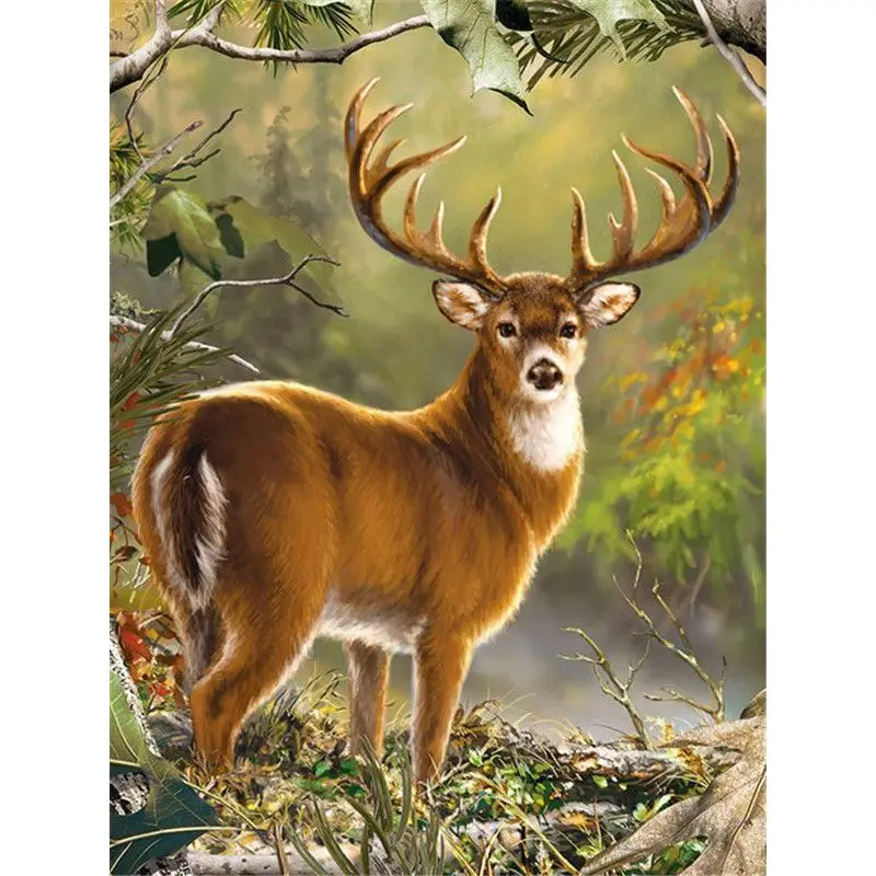 GATYZTORY Colorful Paint By Numbers On Canvas Markers By Numbers Animal  Deer Painting Numbers Unique Gift For Adult Children - AliExpress