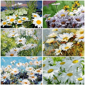 

HUACAN DIY Pictures By Numbers Flowers Drawing On Canvas Paint By Number Flower Hand Painted Painting Art Gift Kits Home Decor