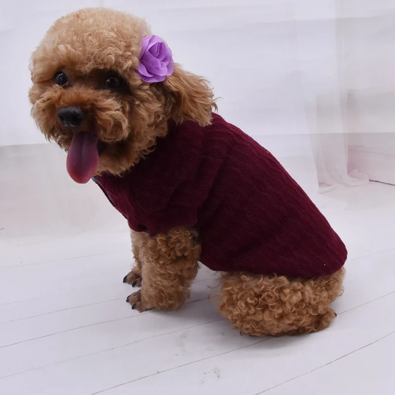 Одежда для домашних животных на осень и зиму в западном стиле; жилет; модный костюм для маленьких и средних собак; 1 шт