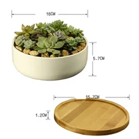 Pot de plante succulente en céramique, pot de fleur arrondi profond en porcelaine blanche avec escalier en bambou, table de bureau, bonsaï Zakka 5