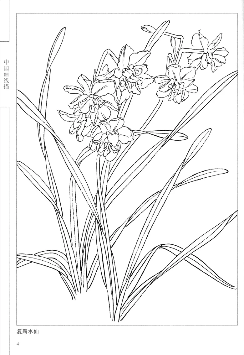 94Pages-Chinese-Painting-Hundred-Flowers-Line-Drawing-Collection-Art-Book-Adult-Coloring-Book-Relaxation-and-Anti (4)