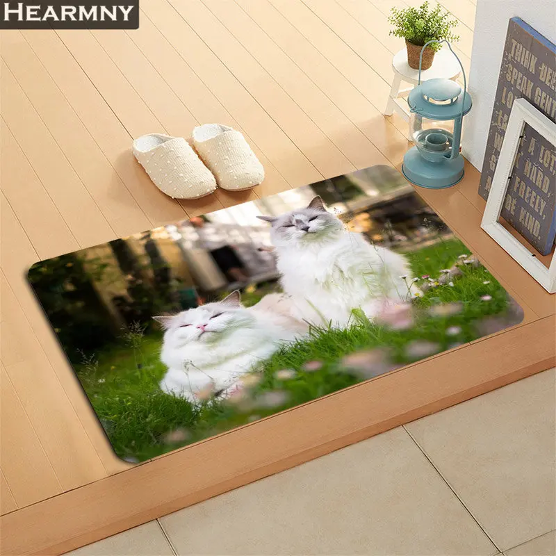 Новое поступление Коврик для двери прекрасный Ragdoll кошка домашний коврик машина сделанная противоскользящая ковер для гостиной/прихожей коврик для ванной Рождественский подарок - Цвет: 7