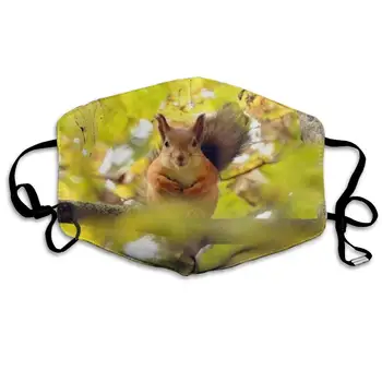 

Mouth Mask For Daily Dress Up, Squirrel Anti-dust Mouth-Muffle, Washable Reusable Holiday Half Face Masks For Mens And Womens