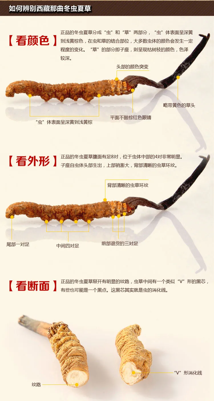 3 г/10 г Тибет Nagqu кордицепс sinensis питательная еда