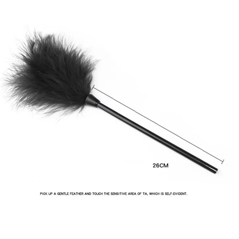 312273_no-logo_312273-3-09-g