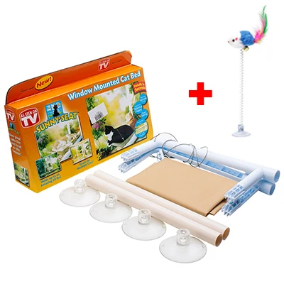 With Box And Toy1
