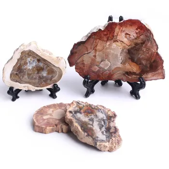 

1PC Natural Petrified Wood Polished Microsecti Fossil Crystal Slice Coaster Mineral Specimen Wood Fossil Lump Stand Gift